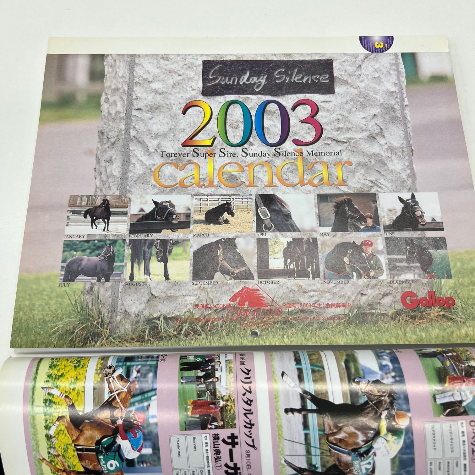 週刊ギャロップ Gallop 臨時増刊 JRA重賞年鑑 2002年 永久保存版 豪華