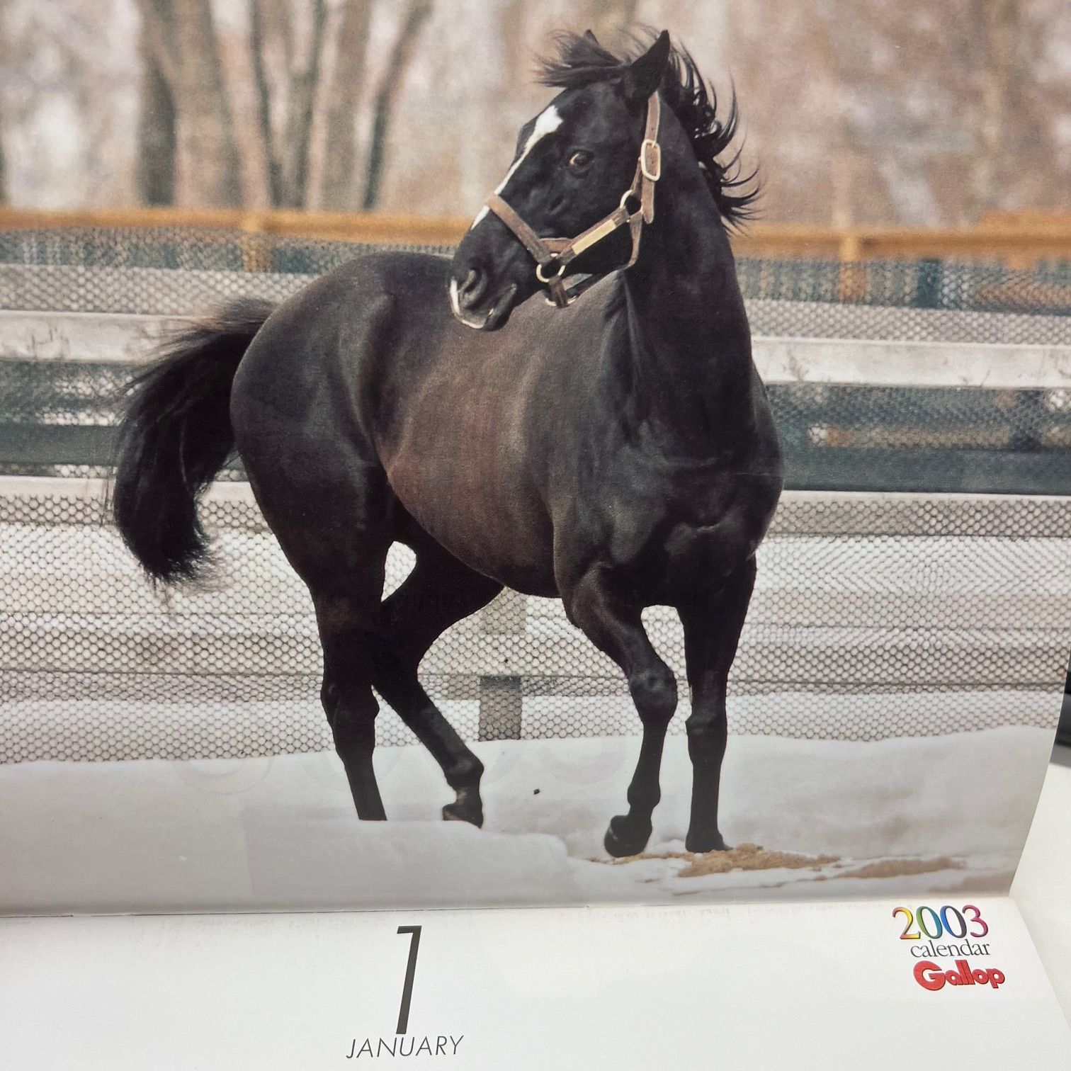 週刊ギャロップ Gallop 臨時増刊 JRA重賞年鑑 2002年 永久保存版 豪華