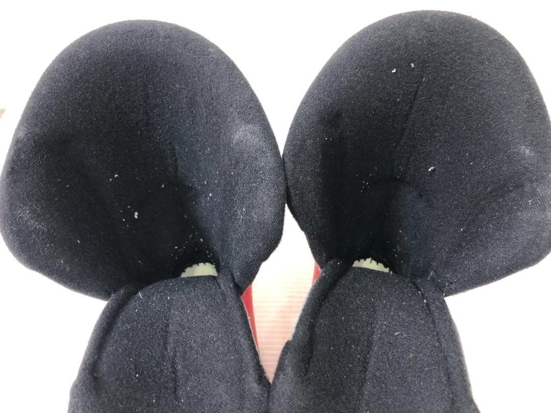 ノルディカ　インナーブーツ　22.5㎝ ◇ スキーブーツ インナー のみ NORDICA 22.0 - 22.5 cm スキー ブーツ