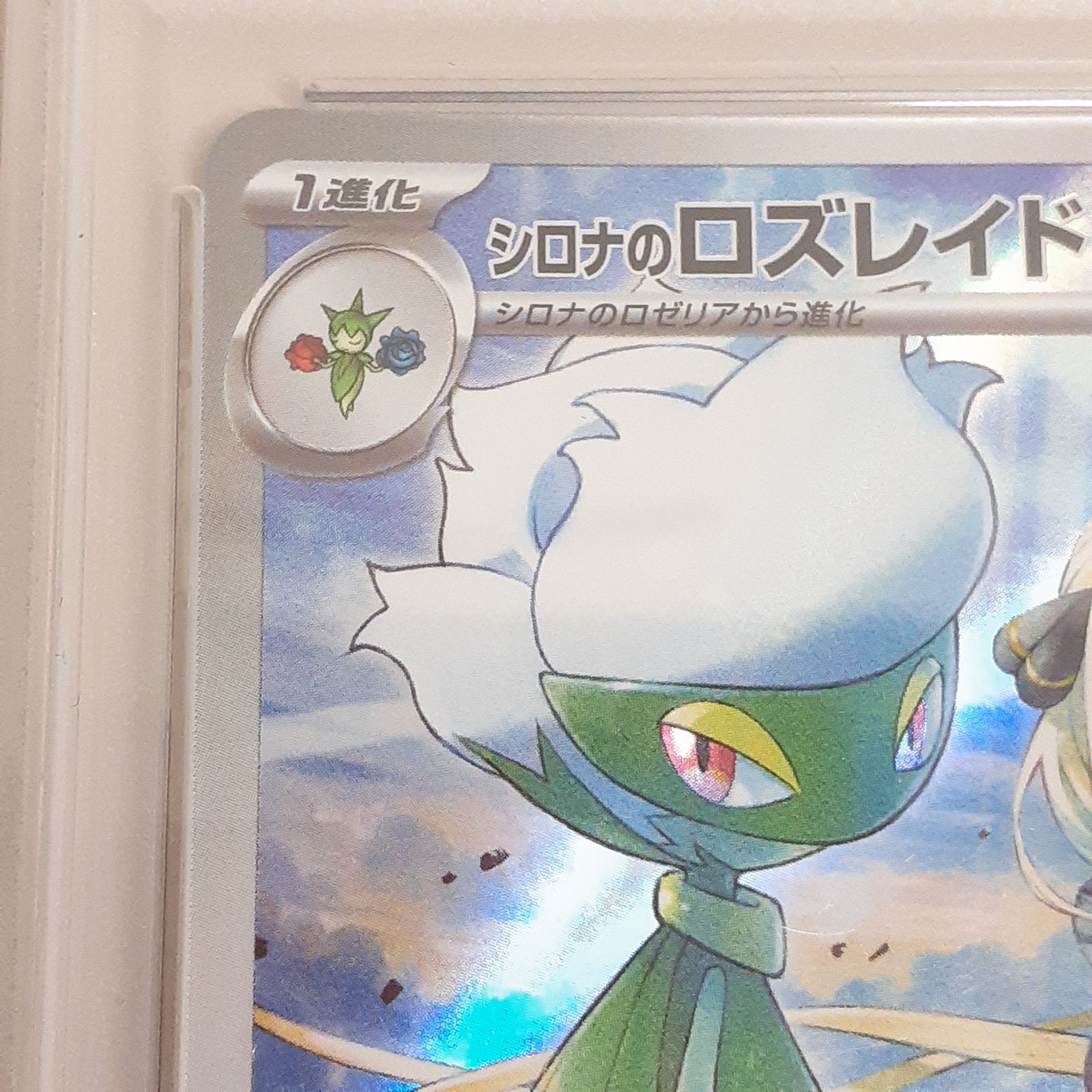 三沢店56-3-1123】ポケモンカード シロナのロズレイド AR [熱風の