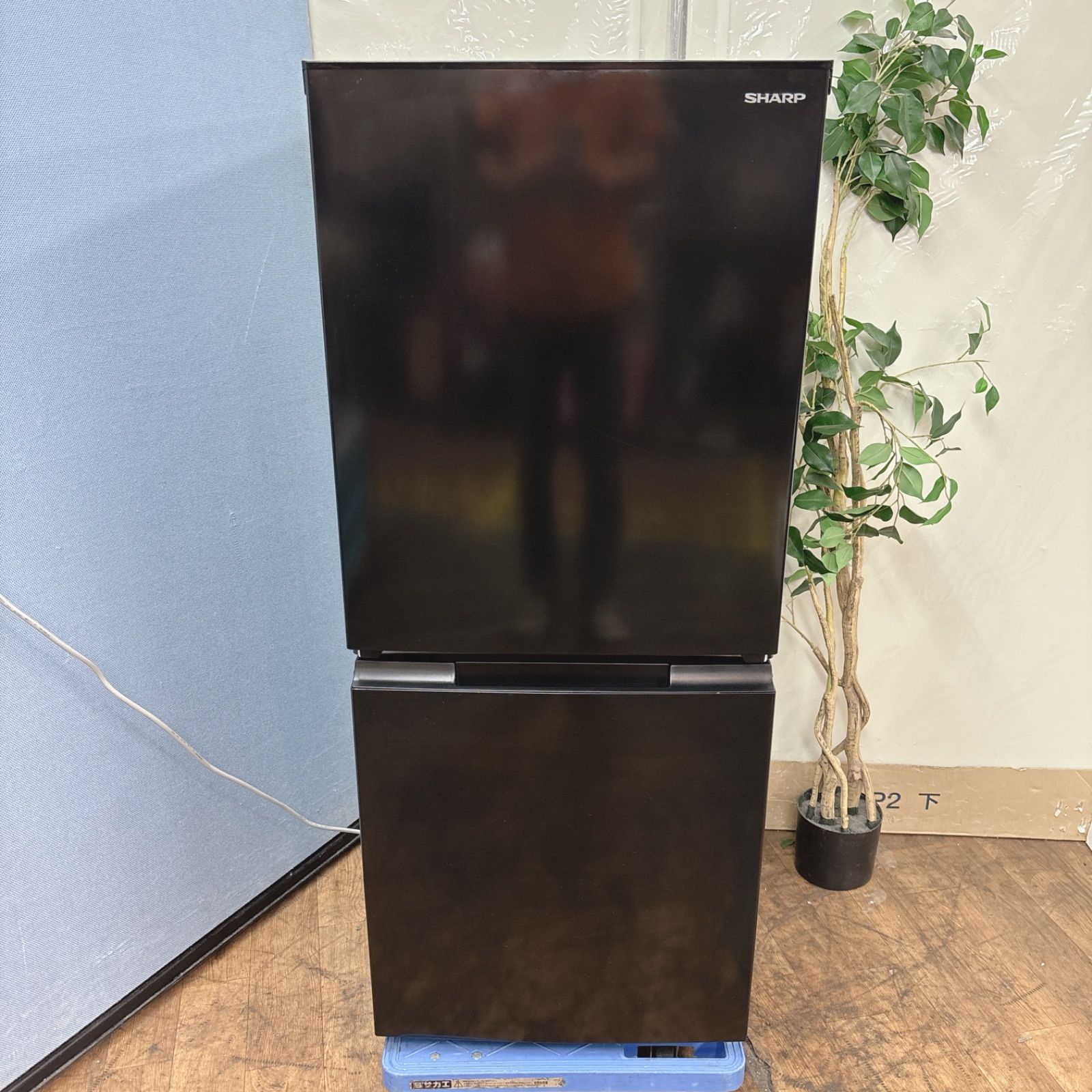 I305 🌈 2023年製の高年式♪ SHARP 冷蔵庫 (152L) ⭐ 動作確認済