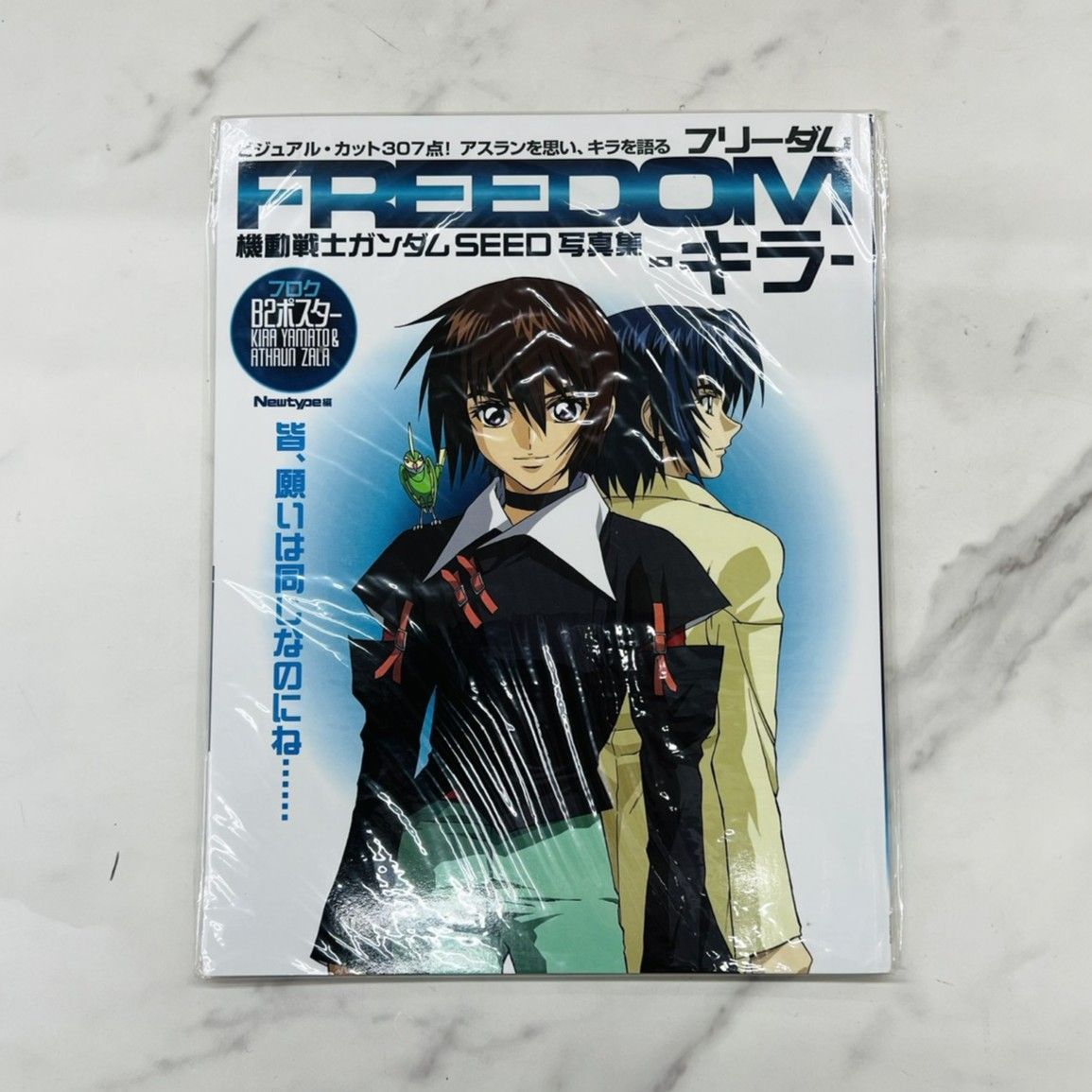 機動戦士ガンダム SEED DESTINY インパルス編 デスティニー編