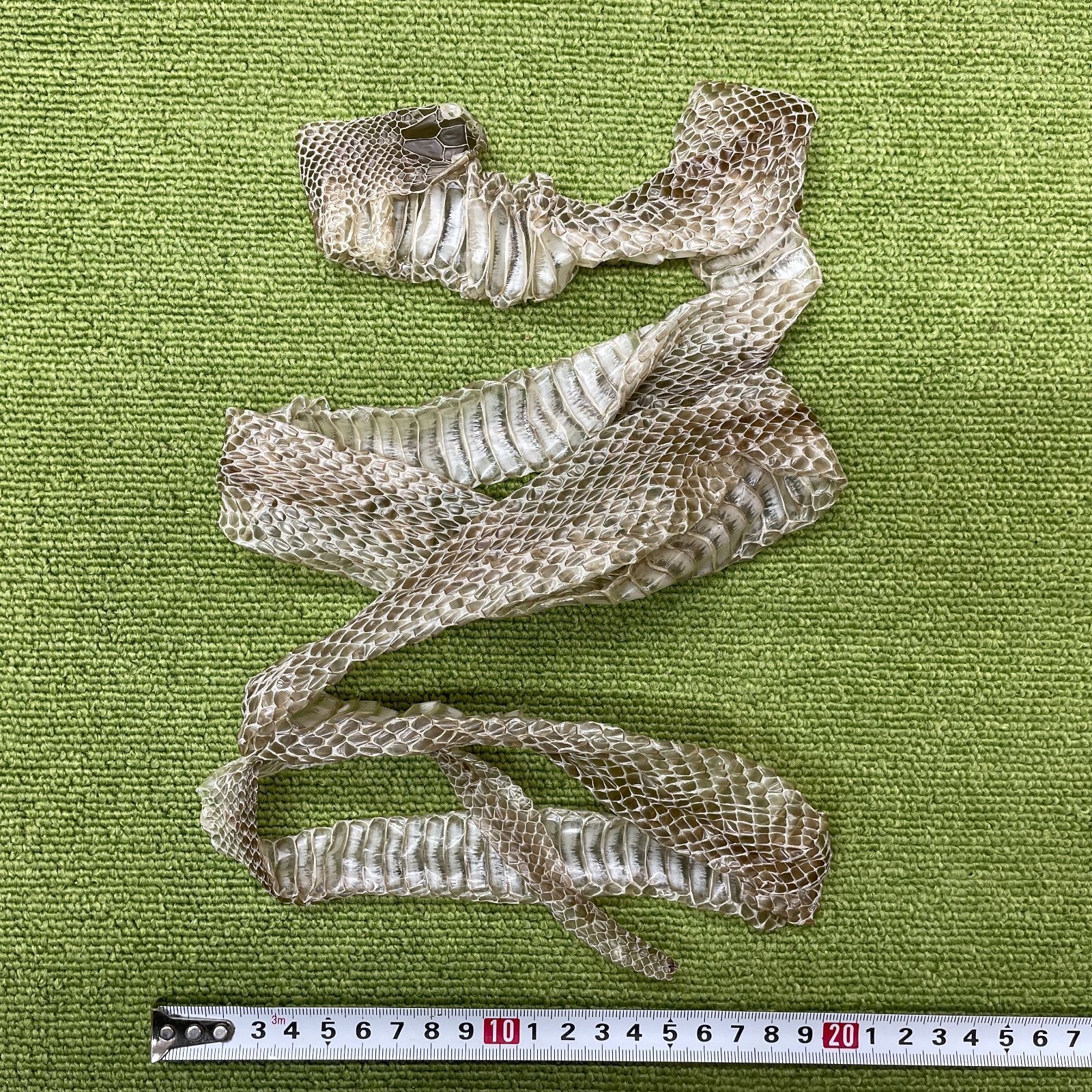 蛇の抜け殻 約145cm ヘビの抜け殻 - メルカリ