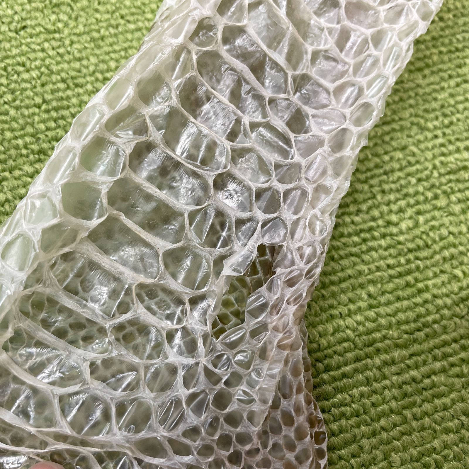 蛇の抜け殻 約130cm ヘビの抜け殻