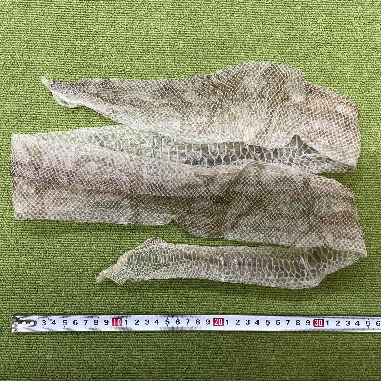 蛇の脱け殻約130cm 蛇の抜け殻 約130cm ヘビの抜け殻