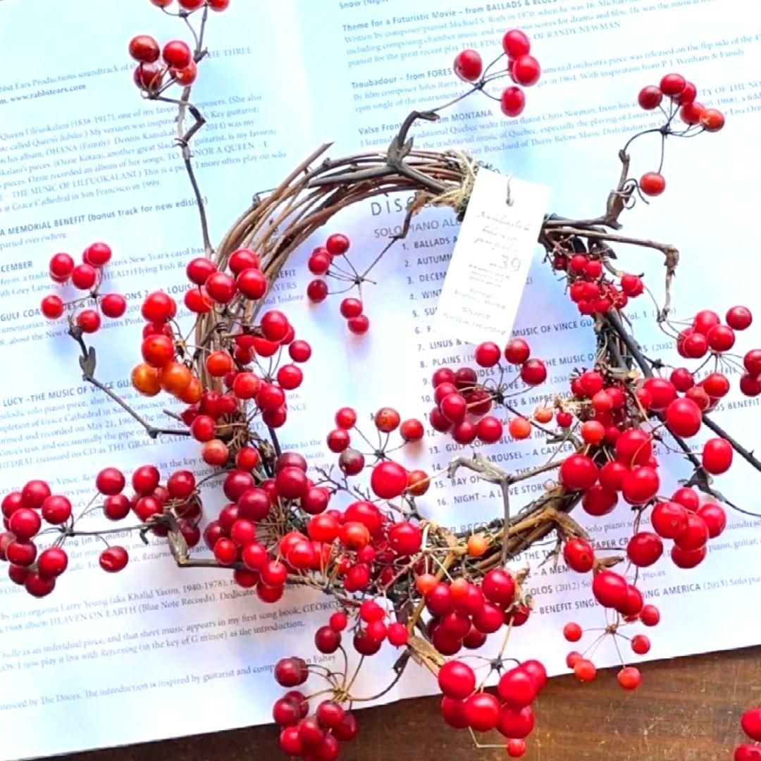 無農薬☆山帰来（サンキライ）☆赤い実☆宅急便コンパクト専用BOX☆箱