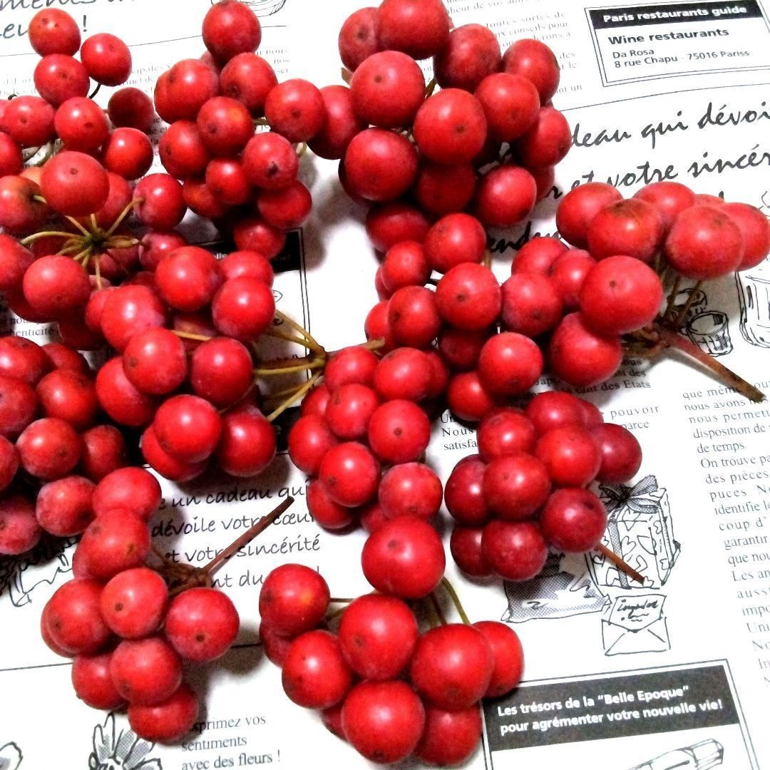 【ご予約No.１】［れもん］サンキライ赤 無農薬☆山帰来（サンキライ）☆赤い実☆宅急便コンパクト専用BOX☆箱