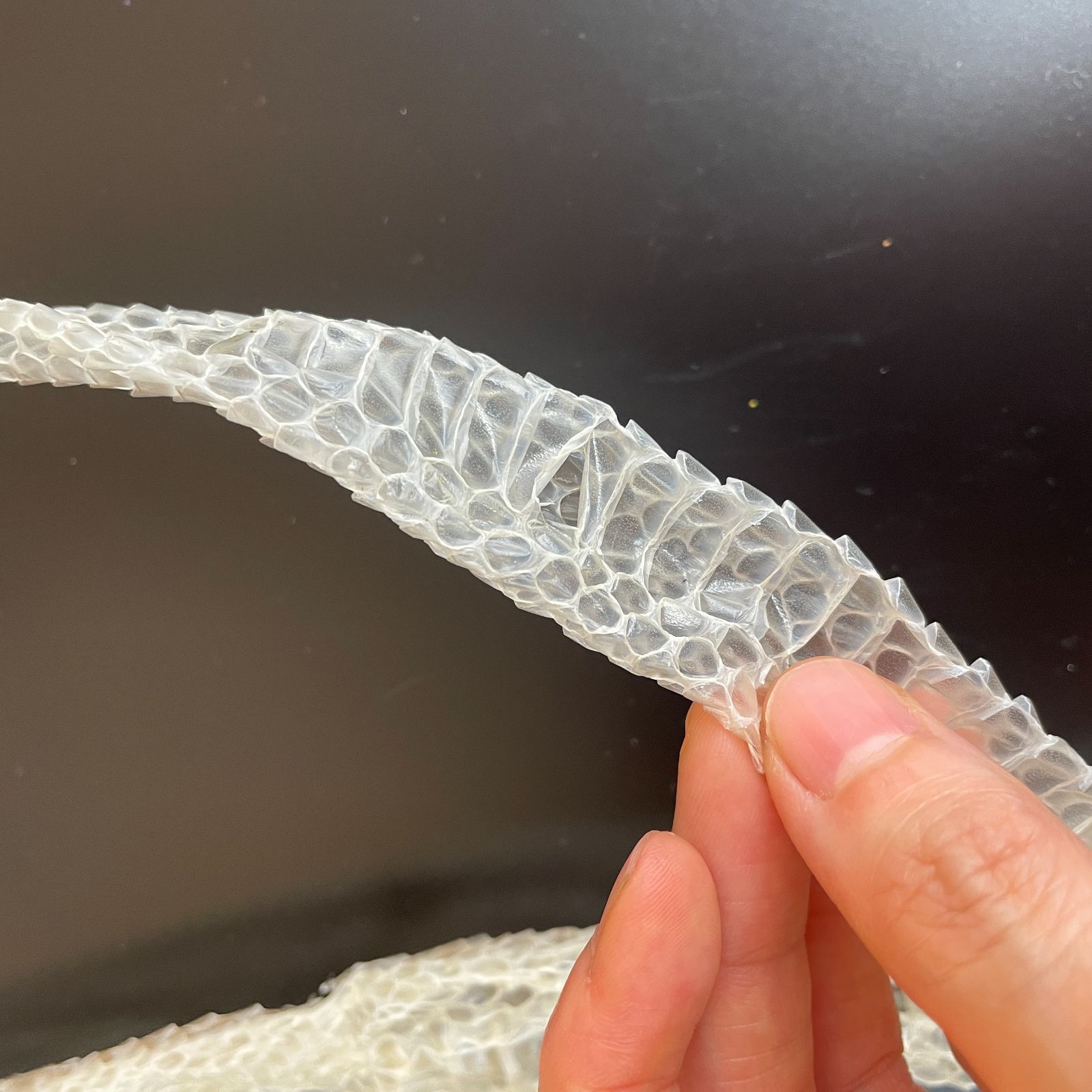 蛇の抜け殻 約180cm ヘビの抜け殻