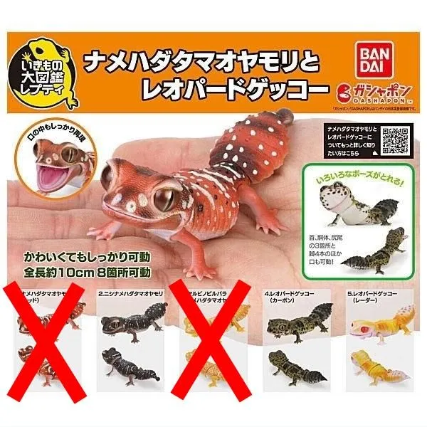 CoCo様専用オーダー作品モールのレオパ2、アメフクラガエル