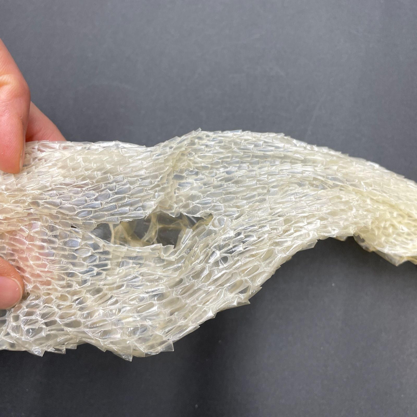 白蛇の抜け殻 約225cm 開運 縁起物 金運 ヘビの抜け殻 HC-7