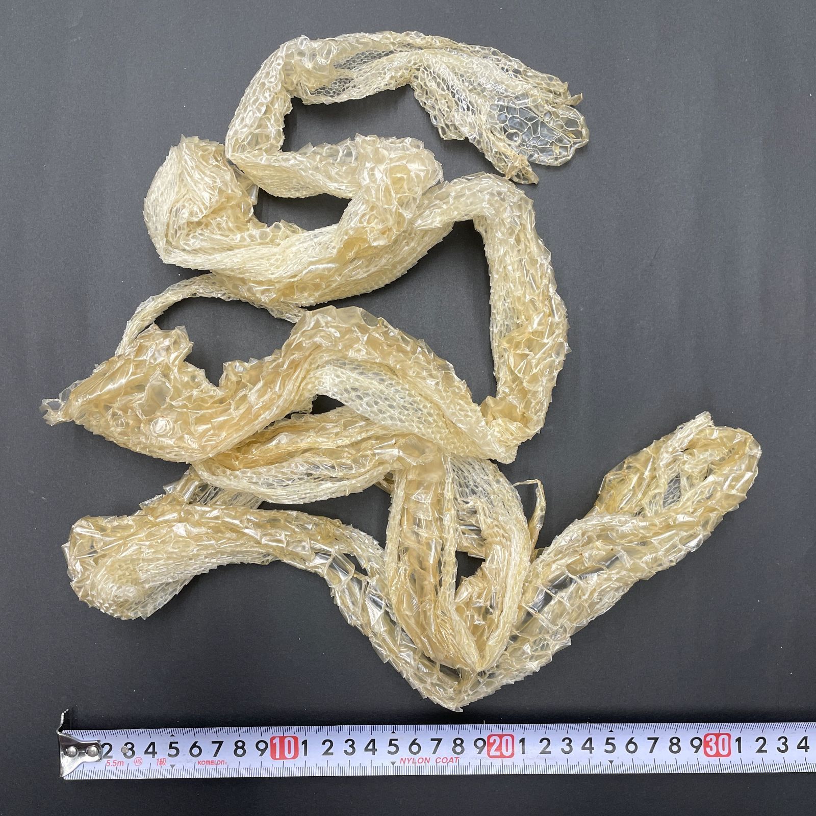 白蛇の抜け殻 約225cm 開運 縁起物 金運 ヘビの抜け殻 HC-7 - メルカリ