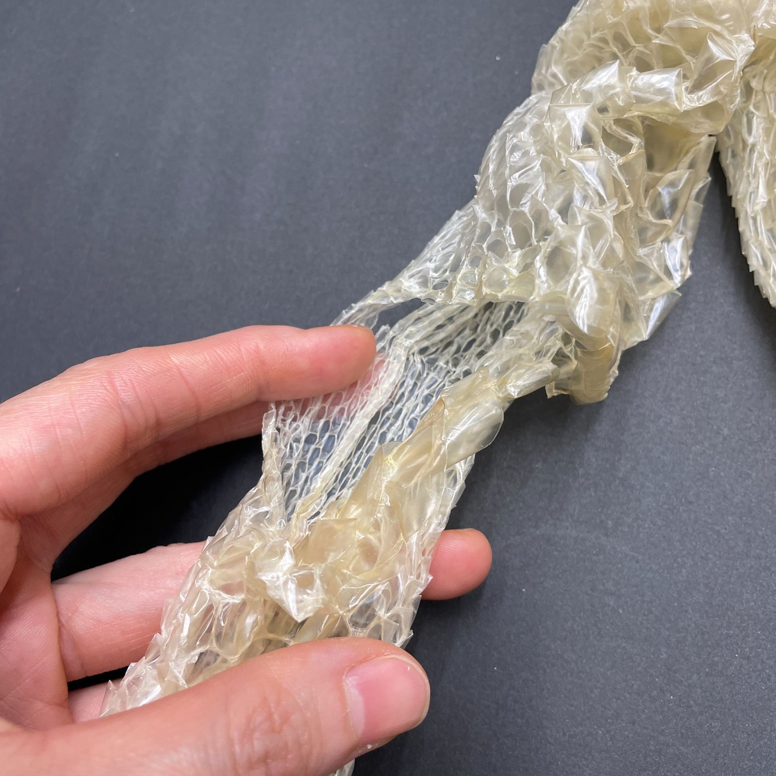 白蛇の抜け殻 約225cm 開運 縁起物 金運 ヘビの抜け殻 HC-7