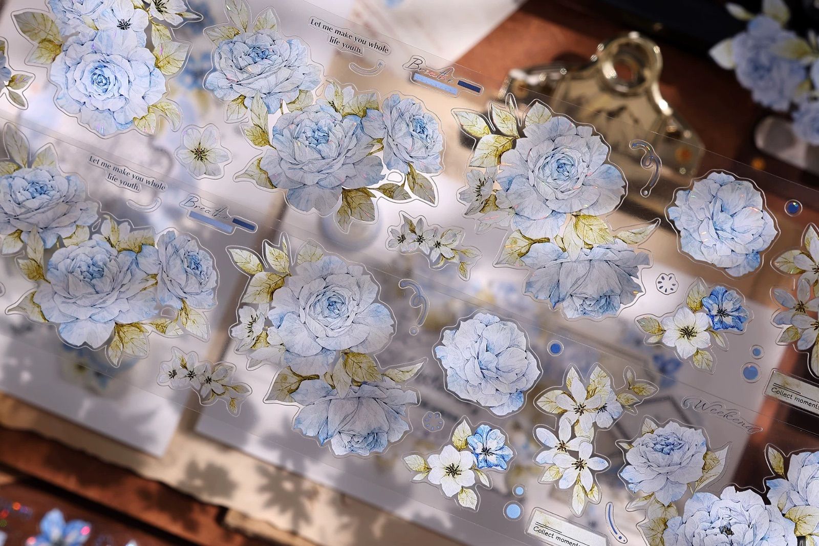 8816】海外 マステ 6m巻売り 貝殻光マスキングテープ お花系 8910