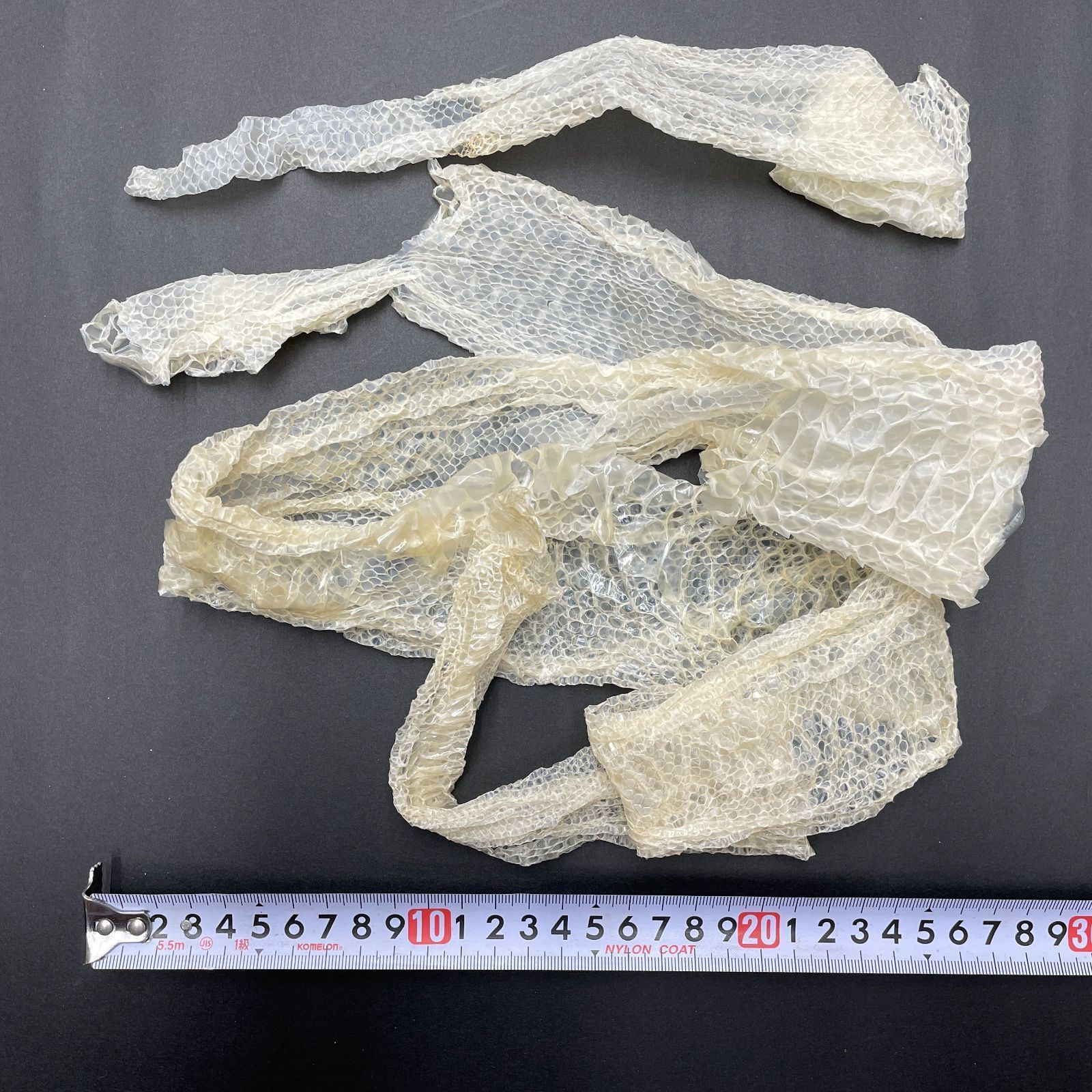 白蛇の抜け殻 約122cm+34cm開運 縁起物 金運 ヘビの抜け殻 HC-11