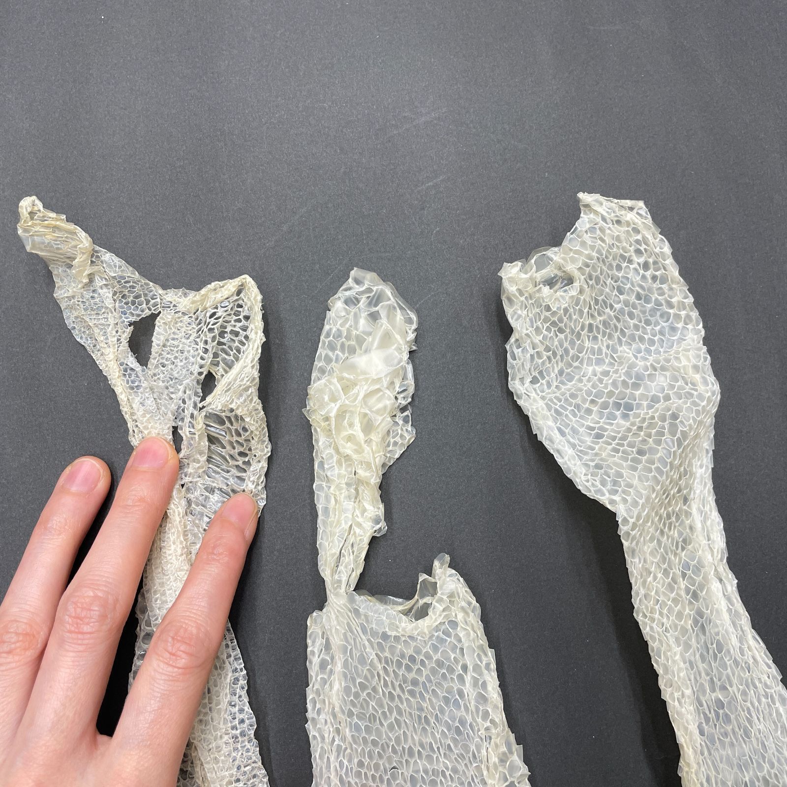 白蛇の抜け殻 約122cm+34cm開運 縁起物 金運 ヘビの抜け殻 HC-11