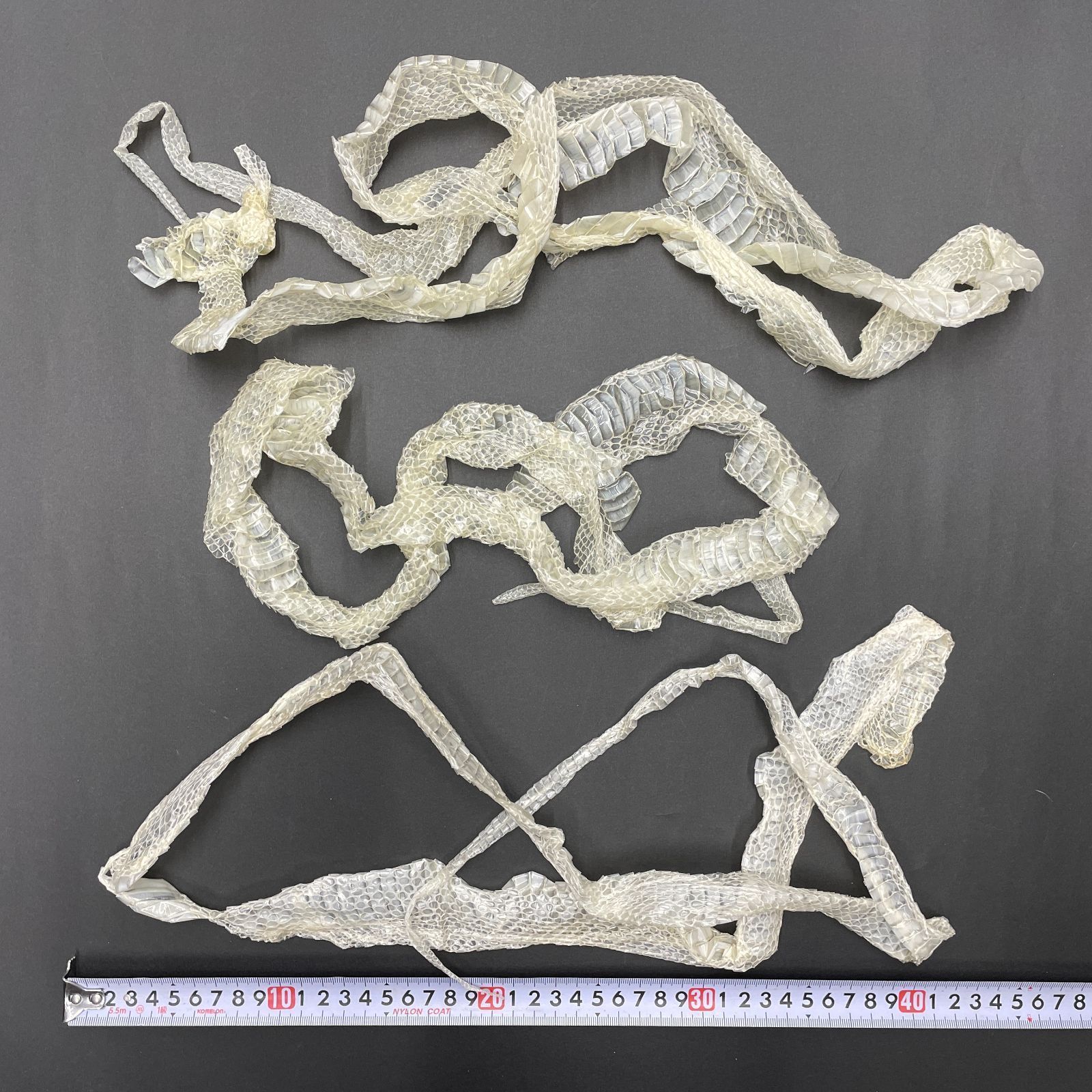 白蛇の抜け殻 3匹分セット 開運 縁起物 金運 ヘビの抜け殻 まとめ売り