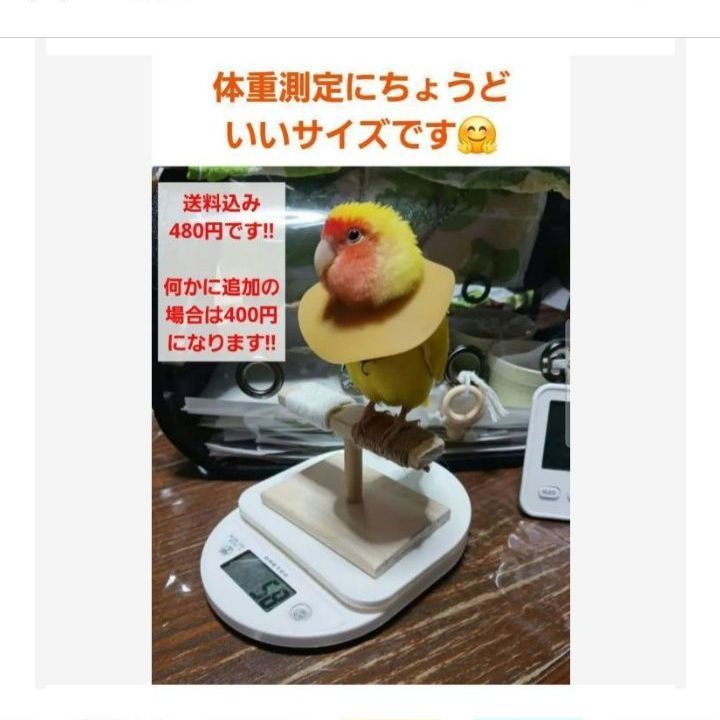 T38 ☆ 文鳥 小型インコ用 止まり木 Tパーチ ☆ スタンド - メルカリ