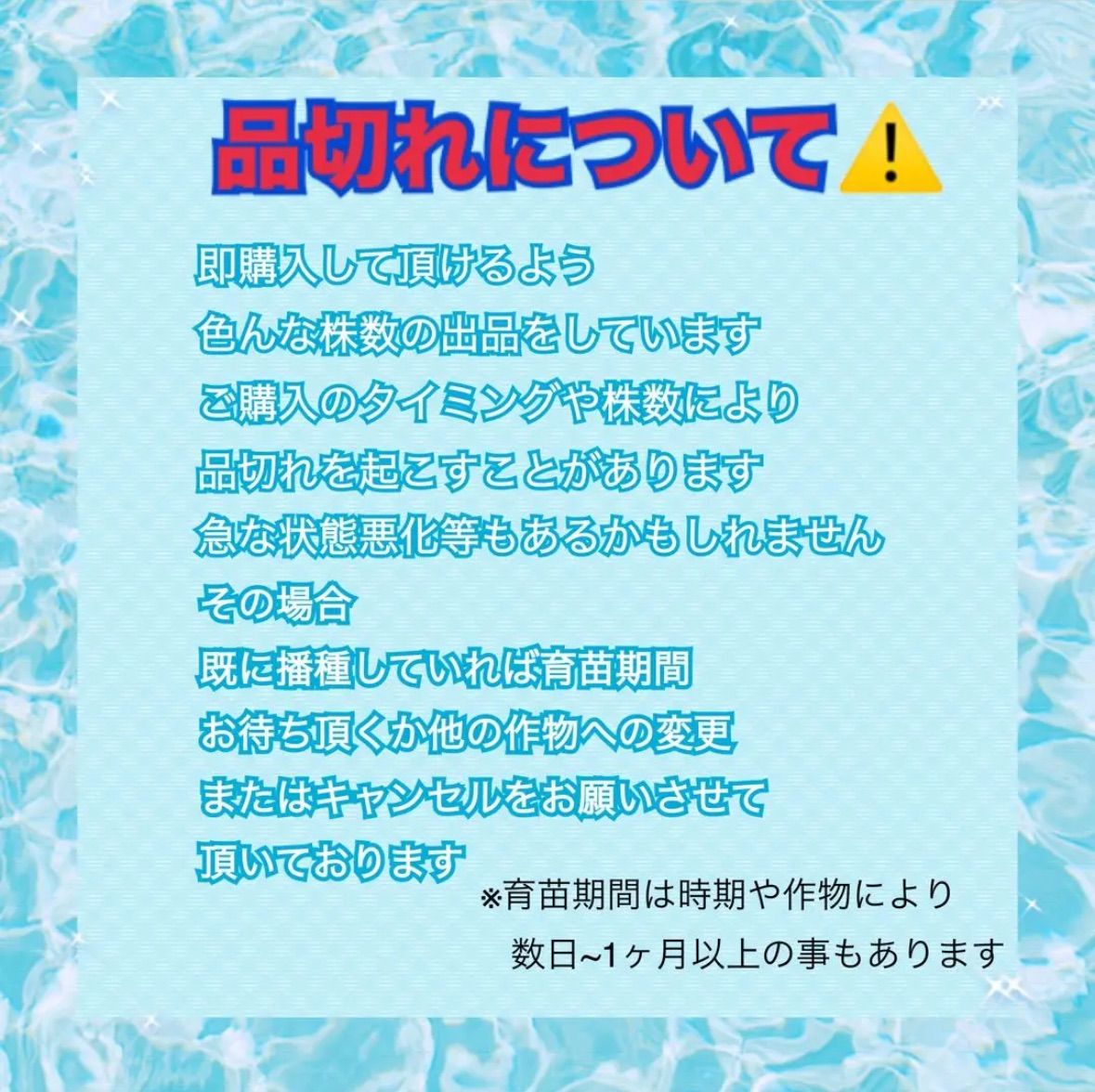 ネコポス。秋まき白菜×50 育苗中農薬不使用 - メルカリ