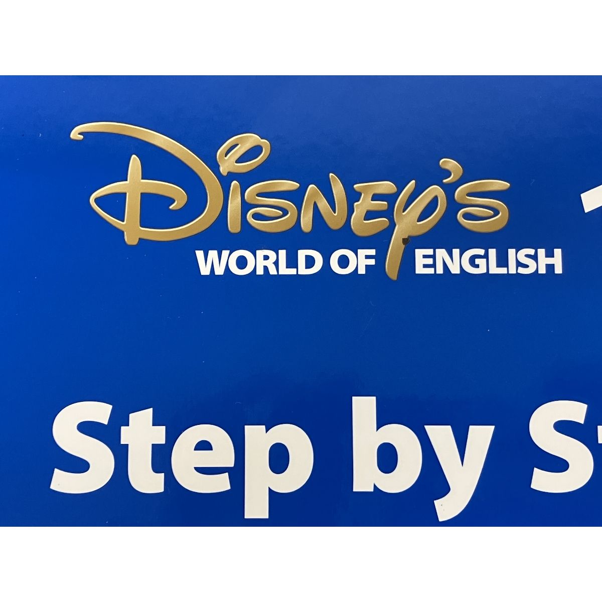 ワールドファミリー DWE ステップバイステップ ストレートプレイ DVD