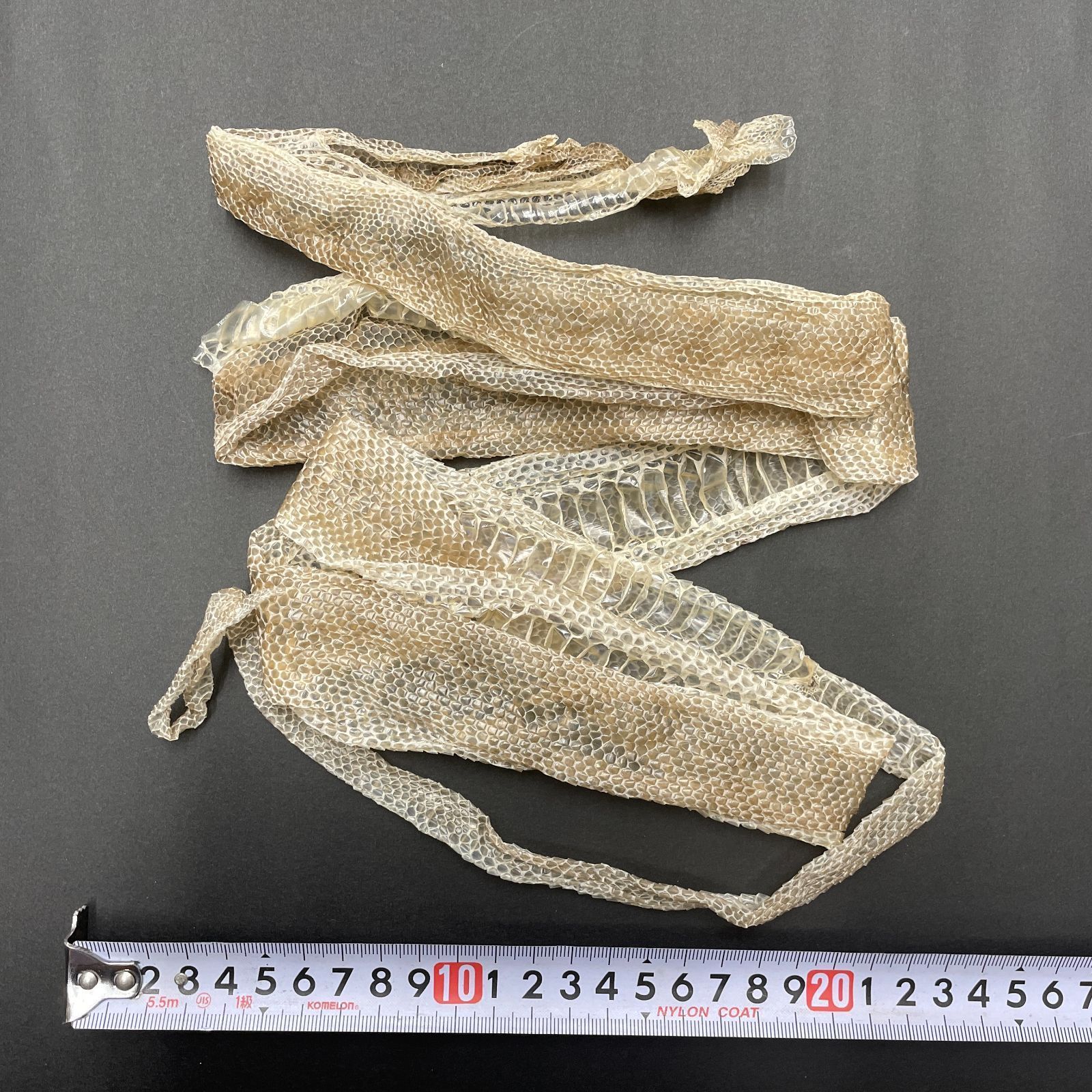 蛇の抜け殻 約176cm 縁起物 金運 開運 ヘビの抜け殻 HC-17
