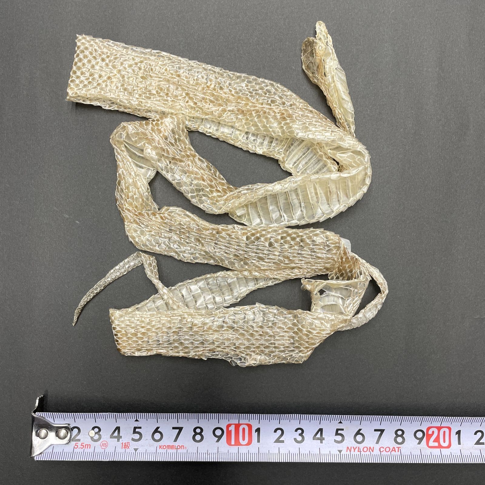 蛇の抜け殻 約120cm 一本物 縁起物 金運 開運 ヘビの抜け殻 HC-15