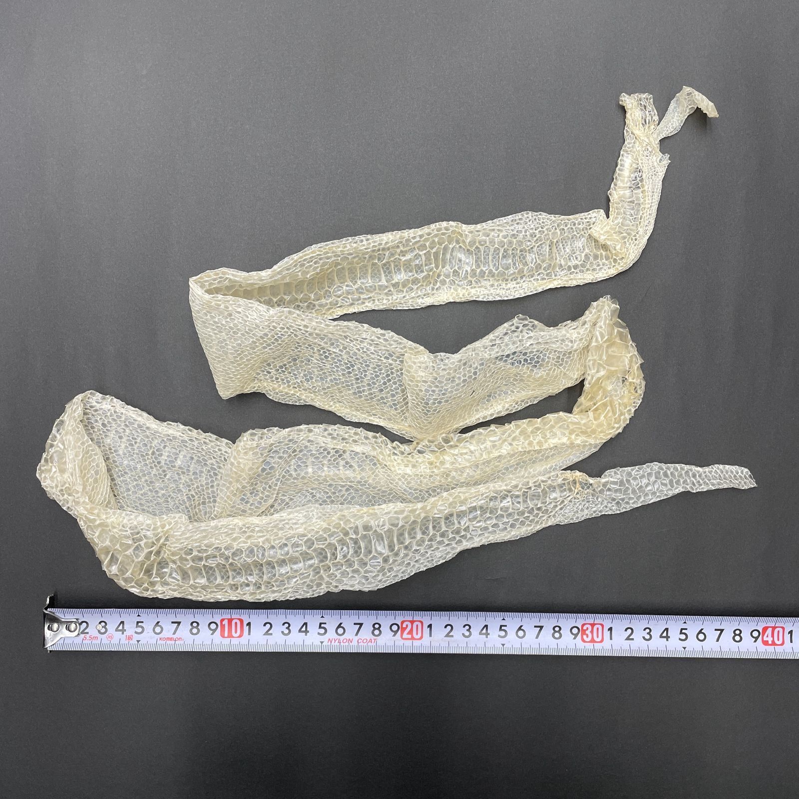 2022年 初脱ぎ 白蛇の抜け殻 1本 ショップ 白蛇の脱け殻 2022年 初脱ぎ