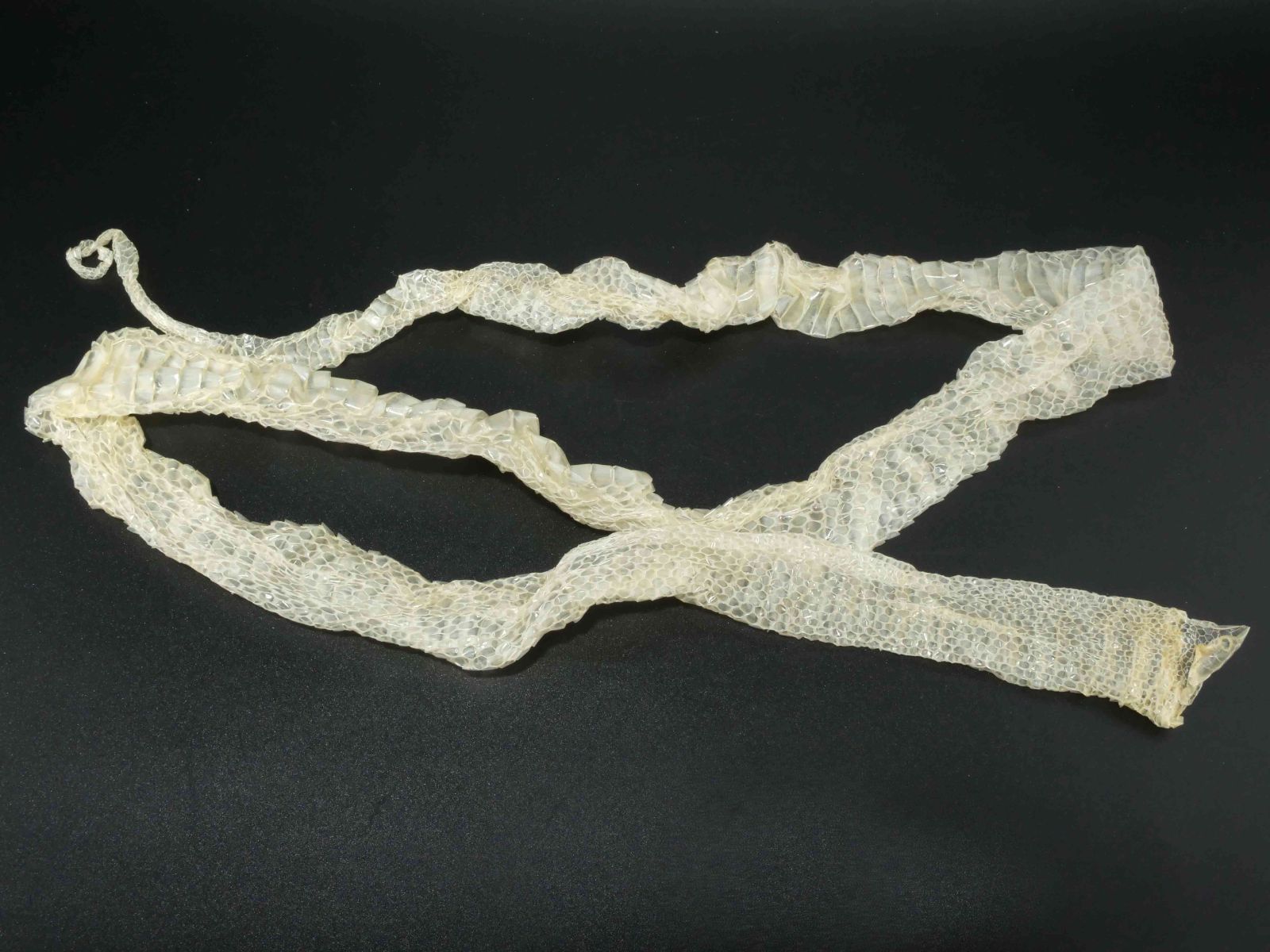 Fukuoka Shipbuilding 50周年記念皿 Fukuoka Shipbuilding 50周年記念皿 Fukuoka Shipbuilding 50周年記念