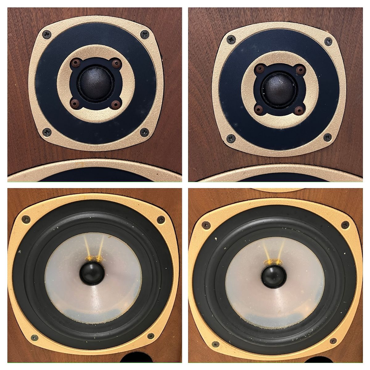 TANNOY M20 Gold 2Way ペアスピーカー オーディオ 音響機材 タンノイ