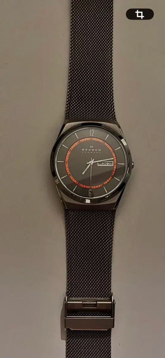 Skagen スカゲン デンマーク 時計 価格ゴー