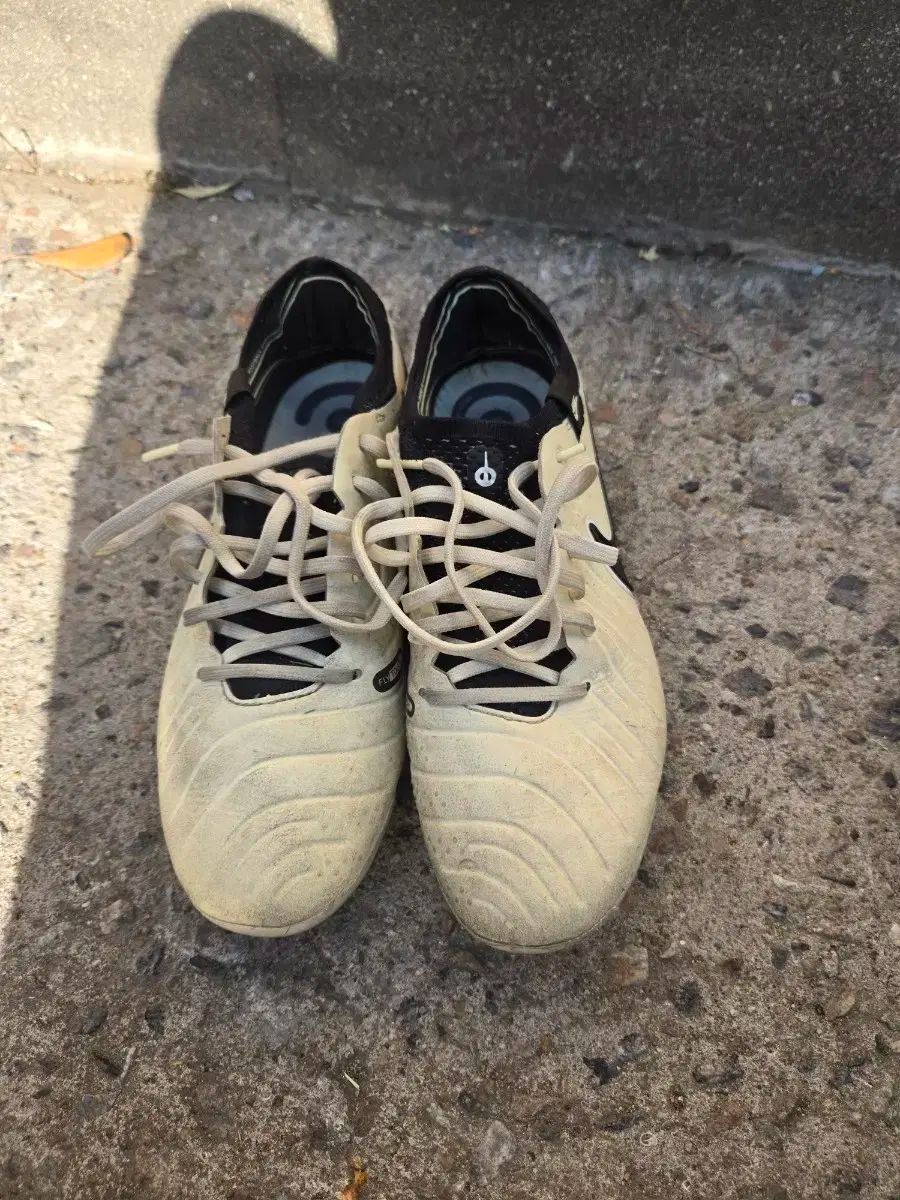 ナイキ ティエンポレジェンド10 エリートFG 250