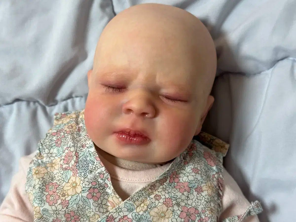 リボン ドール メリキット 今日だけ 15