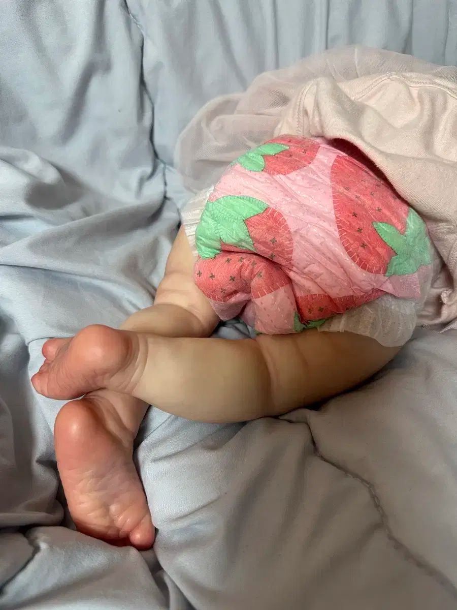 リボン ドール メリキット 今日だけ 15