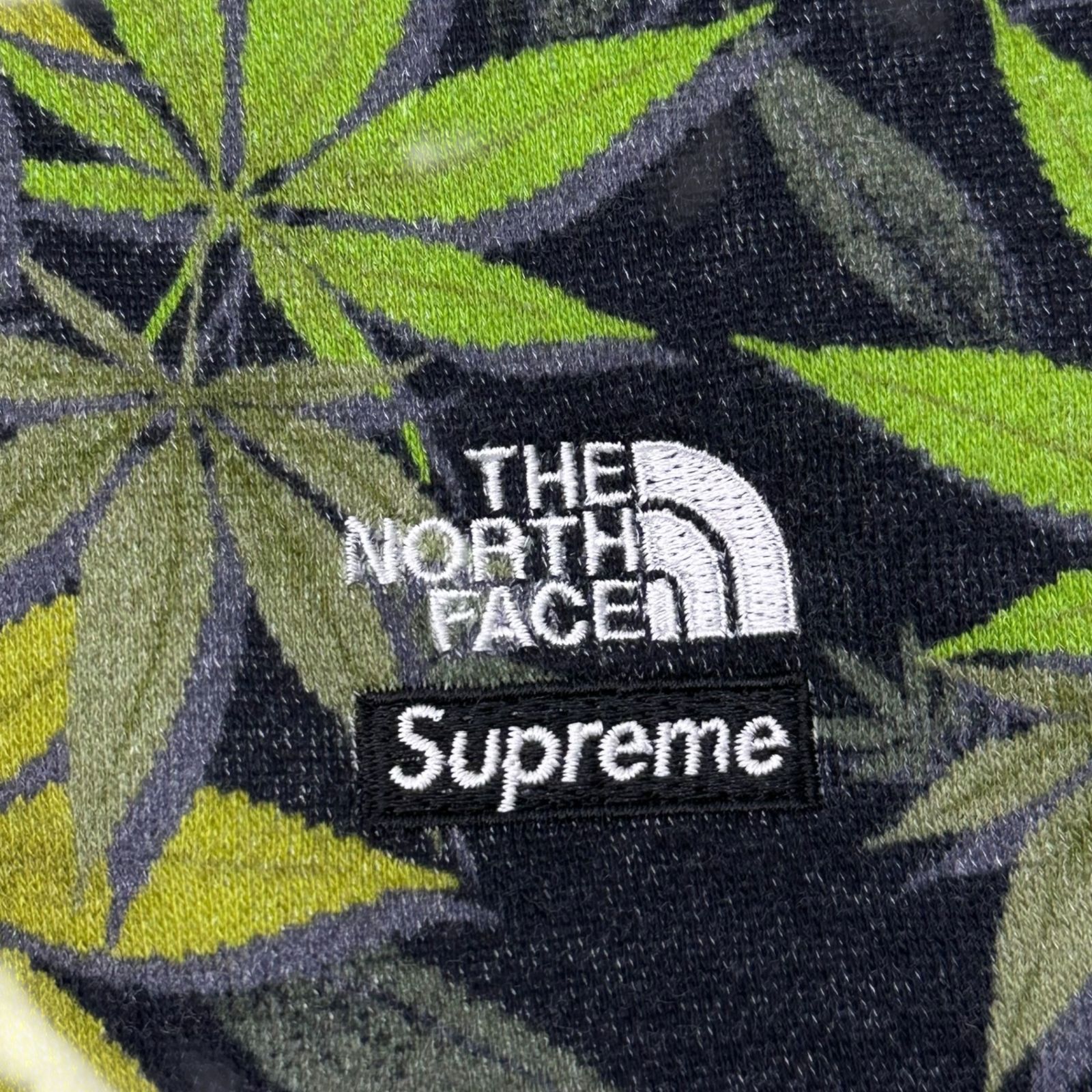 SUPREME×THE NORTH FACE(シュプリーム×ノースフェイス) 23AW Leaf 