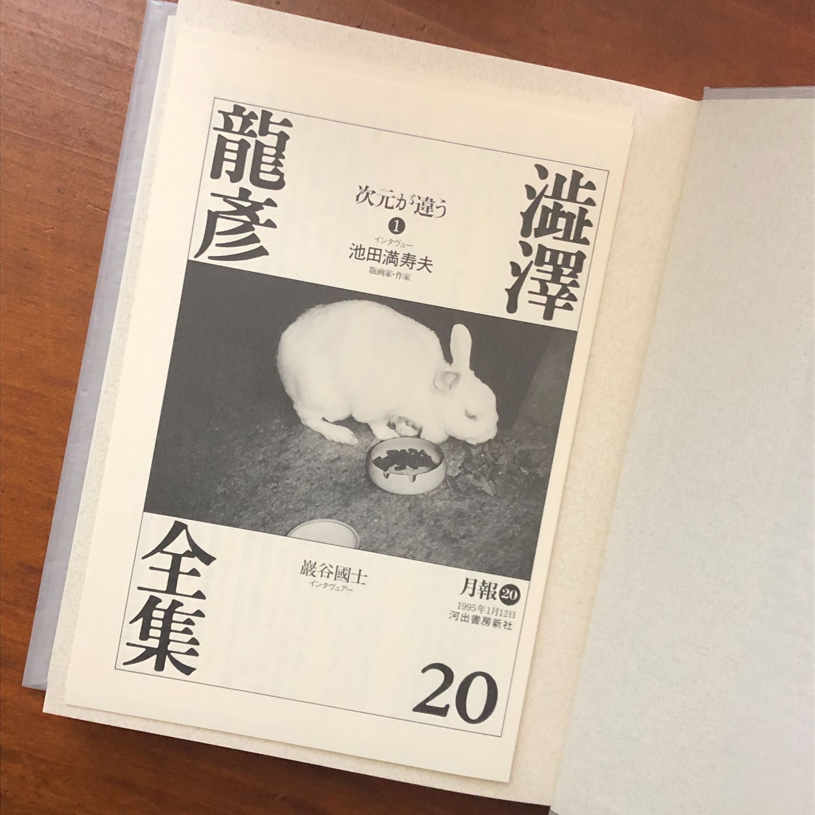 澁澤龍彦全集 全22巻+別巻2巻セット Amazon.co.jp: 澁澤龍彦全集 全22