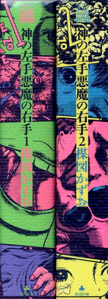 小学館 UMEZZ PERFECTION!12 楳図かずお 神の左手悪魔の右手(帯欠) 全2