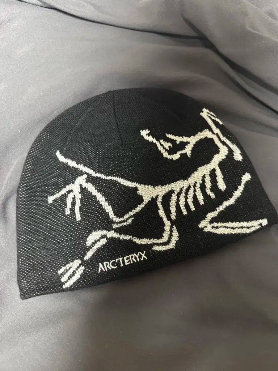 アークテリクス BIRD ヘッド トーク ビーニー オルカ