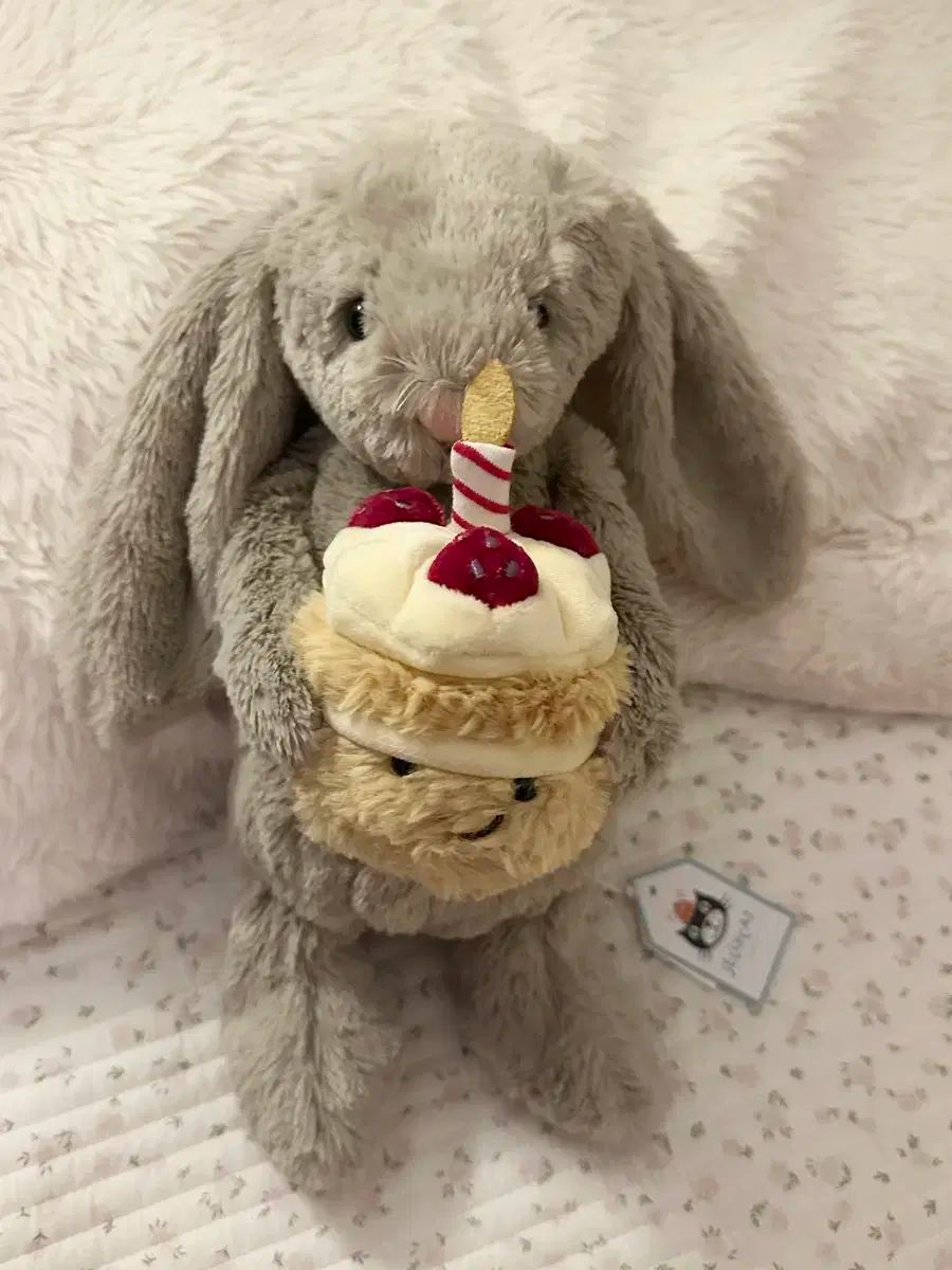 限定モデル) JELLYCAT(ジェリーキャット) Bashful Birthday Beige