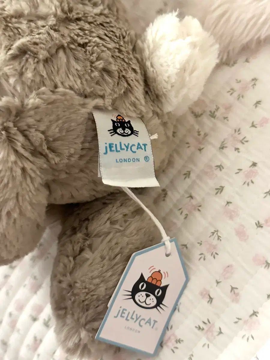 限定モデル) JELLYCAT(ジェリーキャット) Bashful Birthday Beige