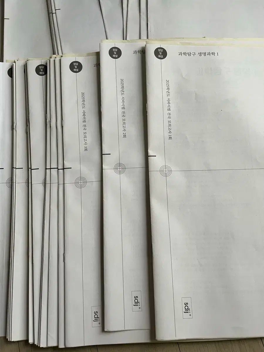 2025 生命科学 時代人材 ブリッジ サバイバル