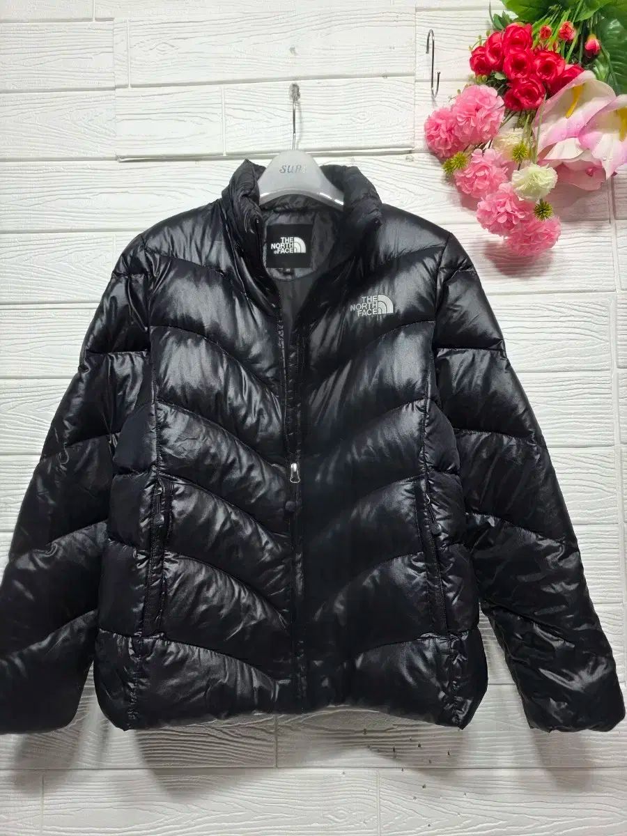 ザノースフェイス 700 グース ダウン 85