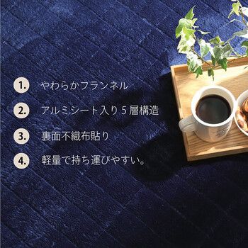 ラグ 約200 240 cm 滑りにくい 暖かい 保温 蓄熱 断熱 アルミ 無地 ホットカーペット対応 レイヤー