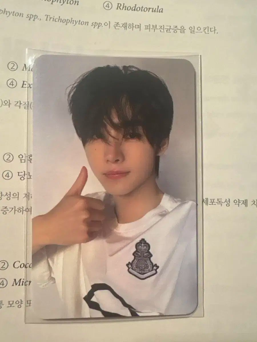 ENHYPEN ソンフン(SUNGHOON) アン・トールド(Untold) ショーケース