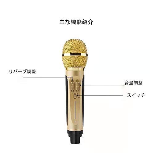 ワイヤレスマイクシステム