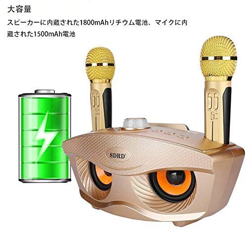 Bluetoothカラオケマイク ホームKTV ワイヤレスマイクシステム 2ハンドヘルドマイク AUX TFカード Uディスク カラオケ歌うマシン カラオケ機器 ポータブルスピーカー プロフェッショナルホームKTVセット 金 62 e 1 cd 36