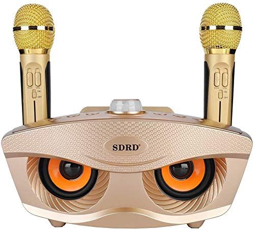 Bluetoothカラオケマイク ホームKTV ワイヤレスマイクシステム 2ハンドヘルドマイク AUX TFカード Uディスク カラオケ歌うマシン カラオケ機器 ポータブルスピーカー プロフェッショナルホームKTVセット 金 62 e 1 cd 36