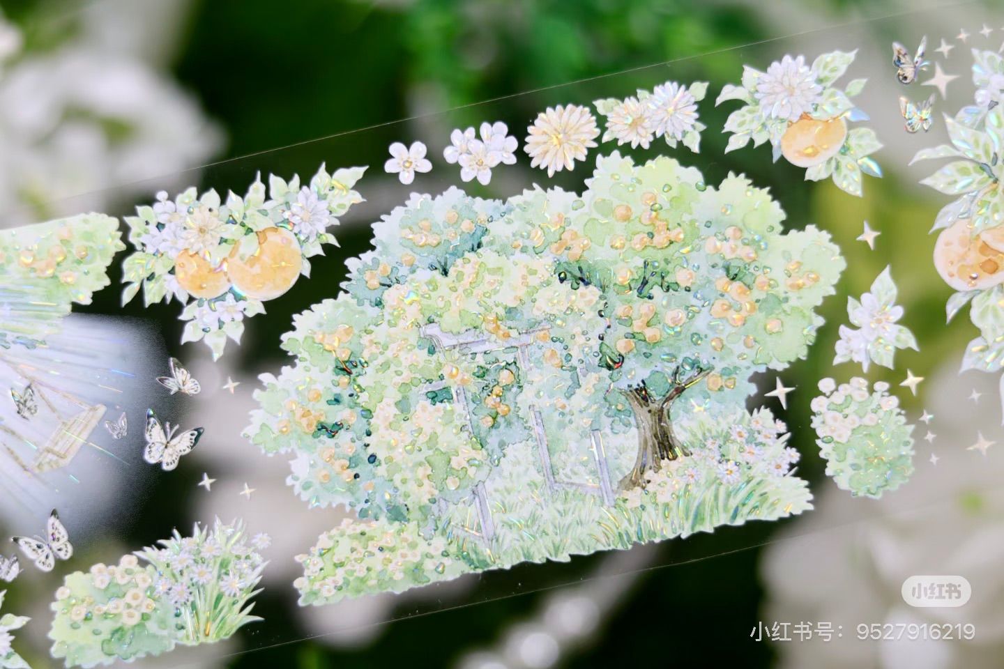 9033】海外 マステ 4.72/巻 PET 貝殻光マスキングテープ 果物 オレンジ