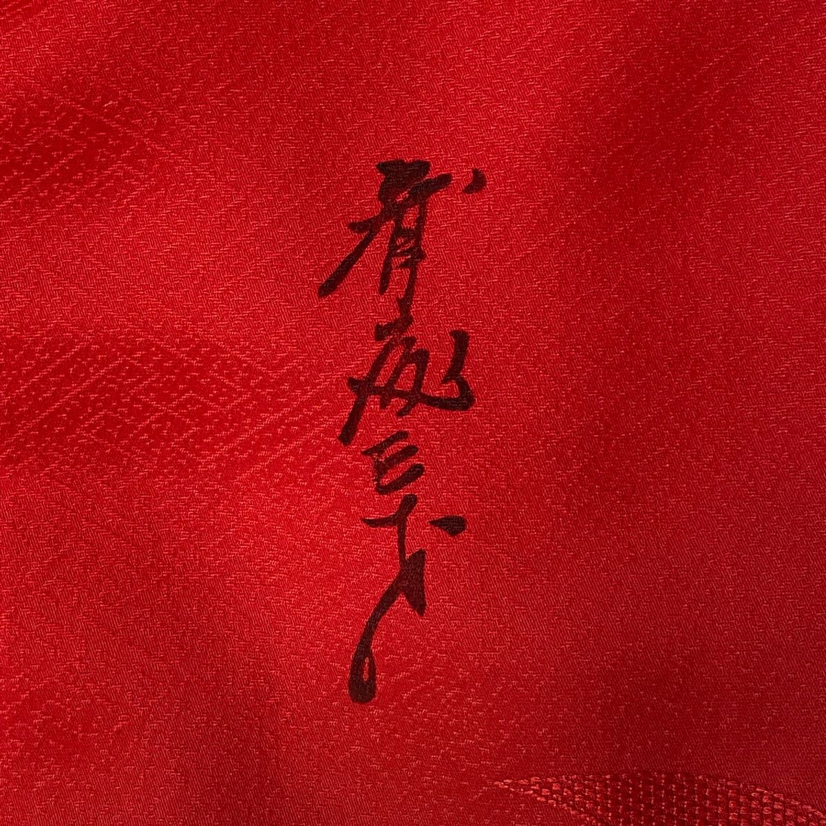 振袖 身丈167cm 裄丈70cm L 袷 斉藤三才 落款 鳥 松竹梅 金銀糸 ぼかし