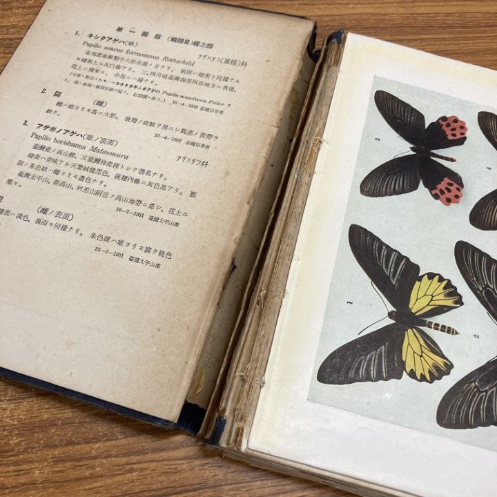 △01)【1点限り!】原色虫図譜 3冊セット/原色千種 続昆虫図譜/蝶類