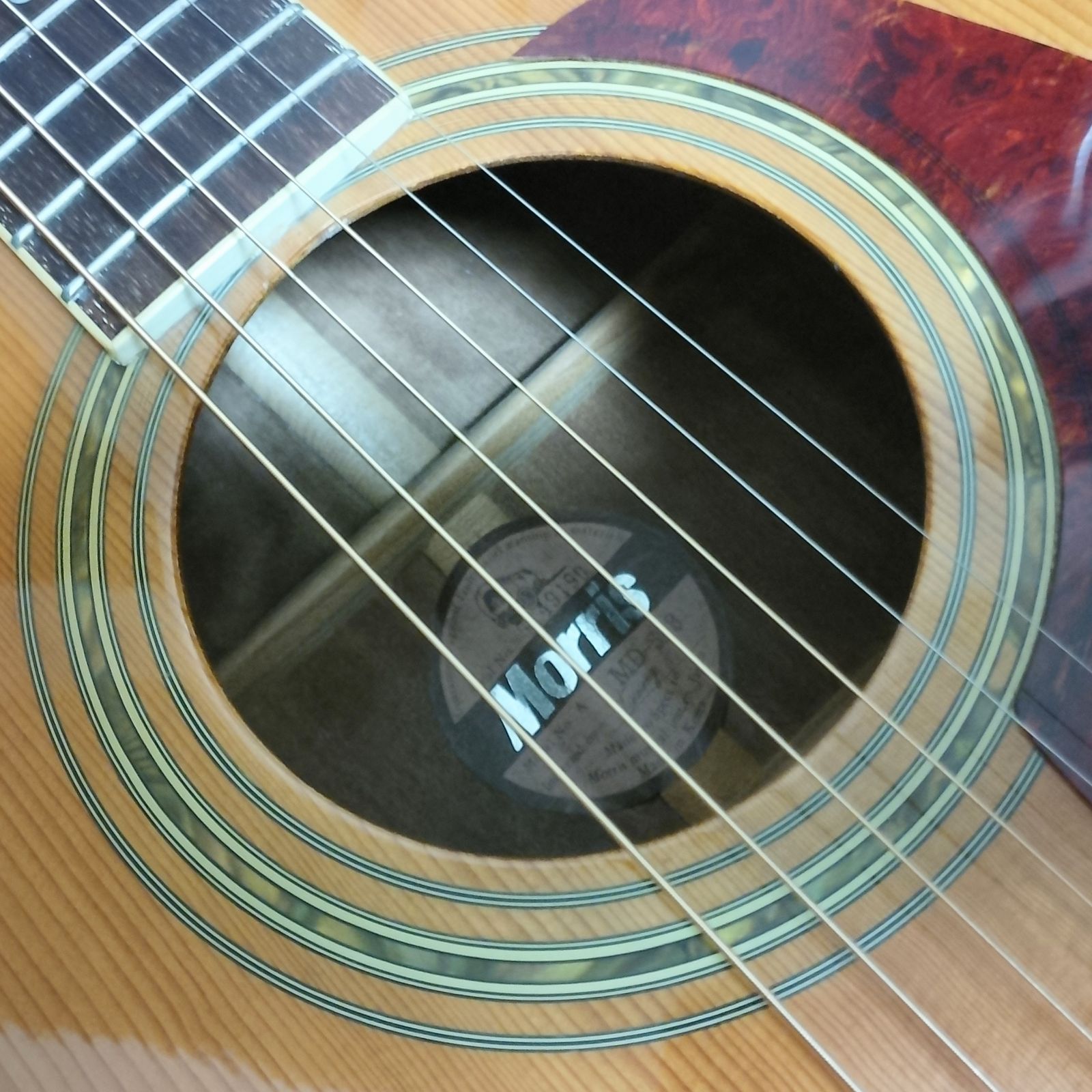 MORRIS 縦ロゴ　アコースティックギター MD528 モーリス MD-528 アコースティックギター 縦ロゴ MORRIS MORRIS 縦ロゴ