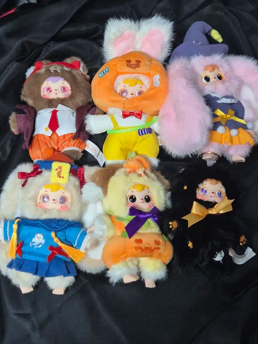 ちゃーちゃんさま 専用 ペパーミント10 ジュニパー2 【公式通販】